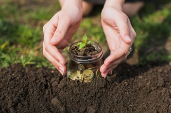 manos-plantando-arbol-monedas_23-2147807284-1