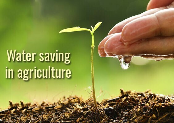 Ahorro de agua en agricultura
